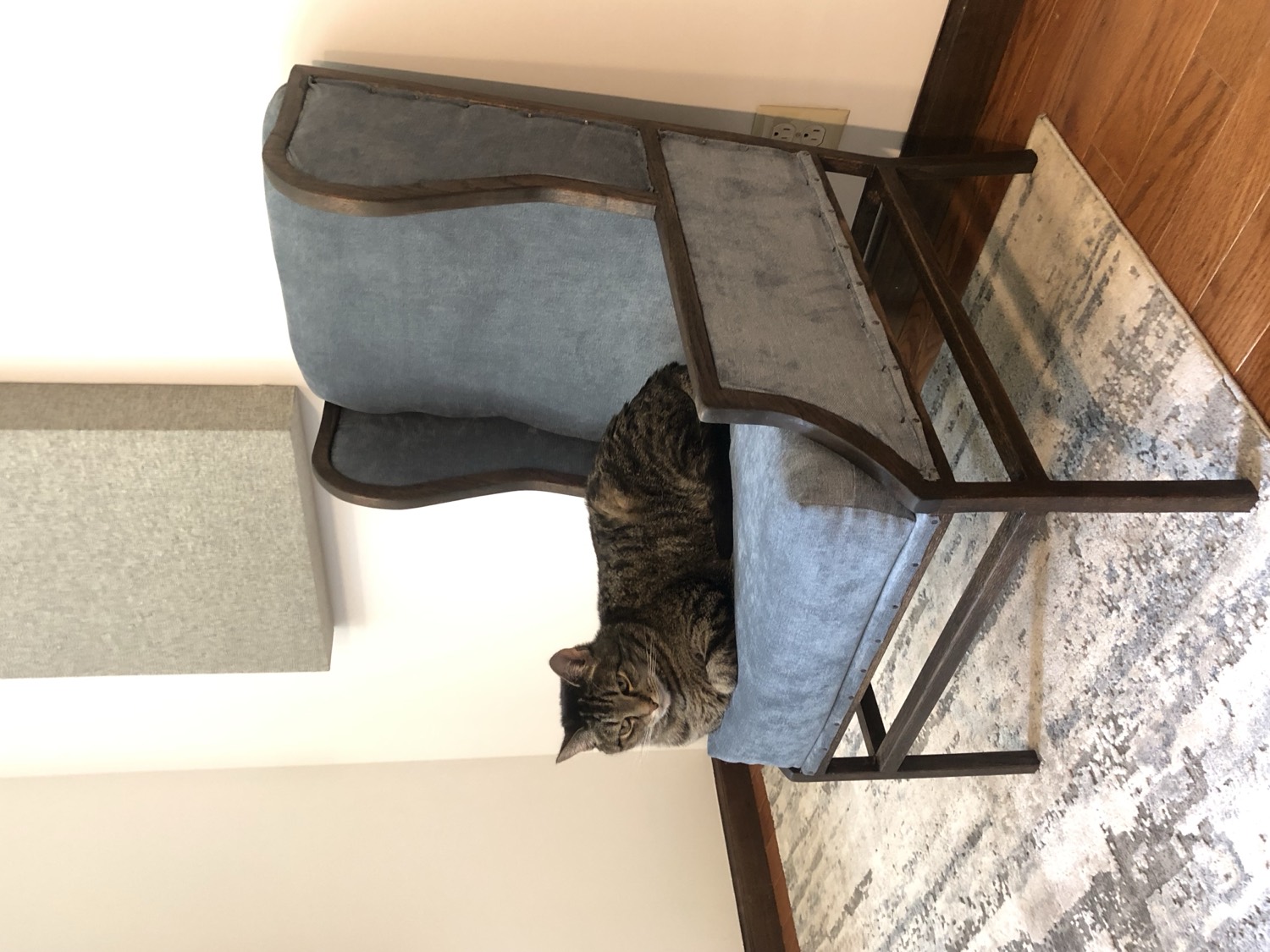 Wingback chair in stained ash with custom upholstery and a cat resting on the seat